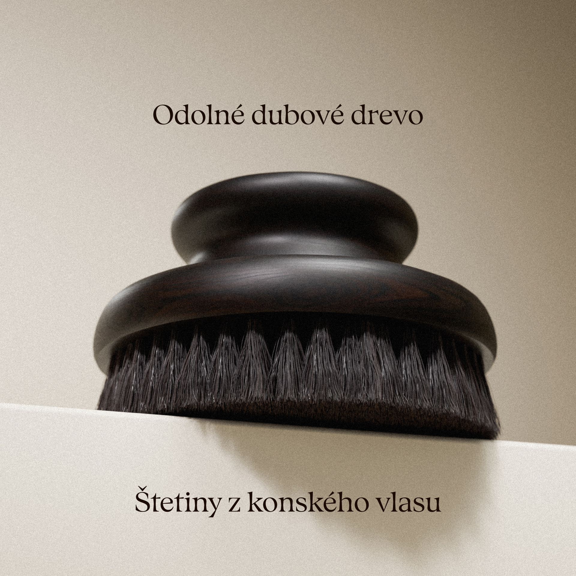 Brosse pour brossage à sec