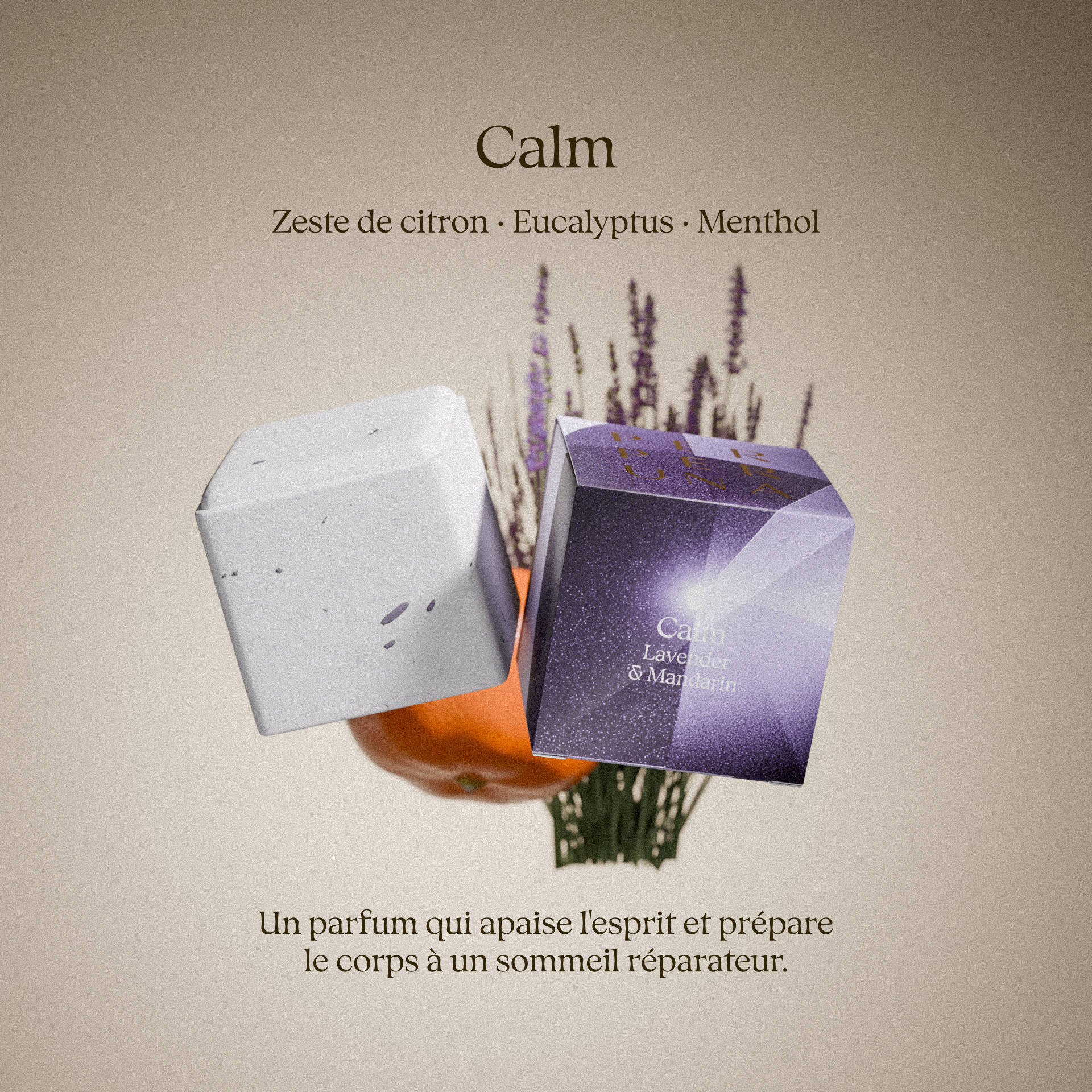 Coffret avantageux – 5 galets de douche + coupelle en pierre