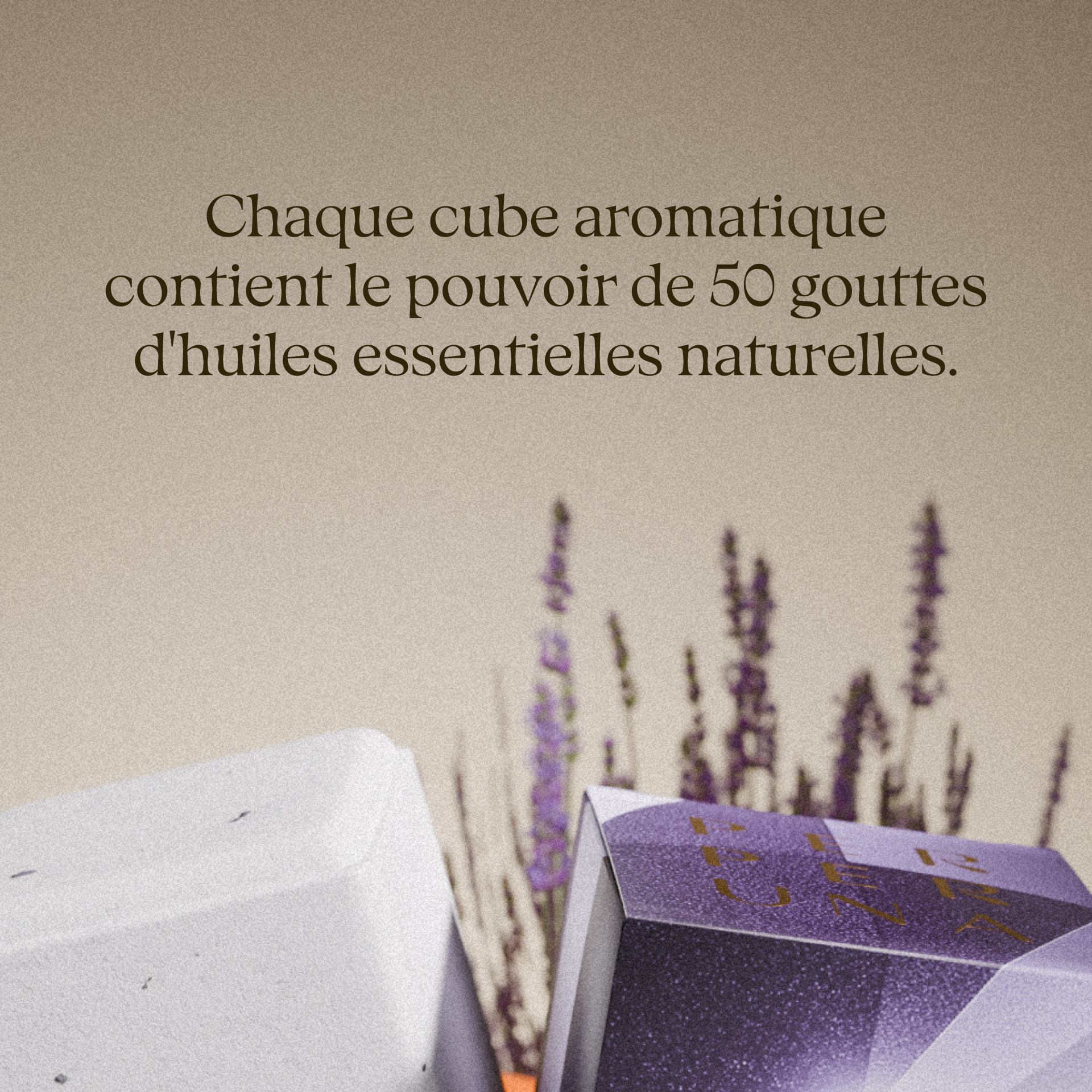 Coffret avantageux – 5 galets de douche + coupelle en pierre