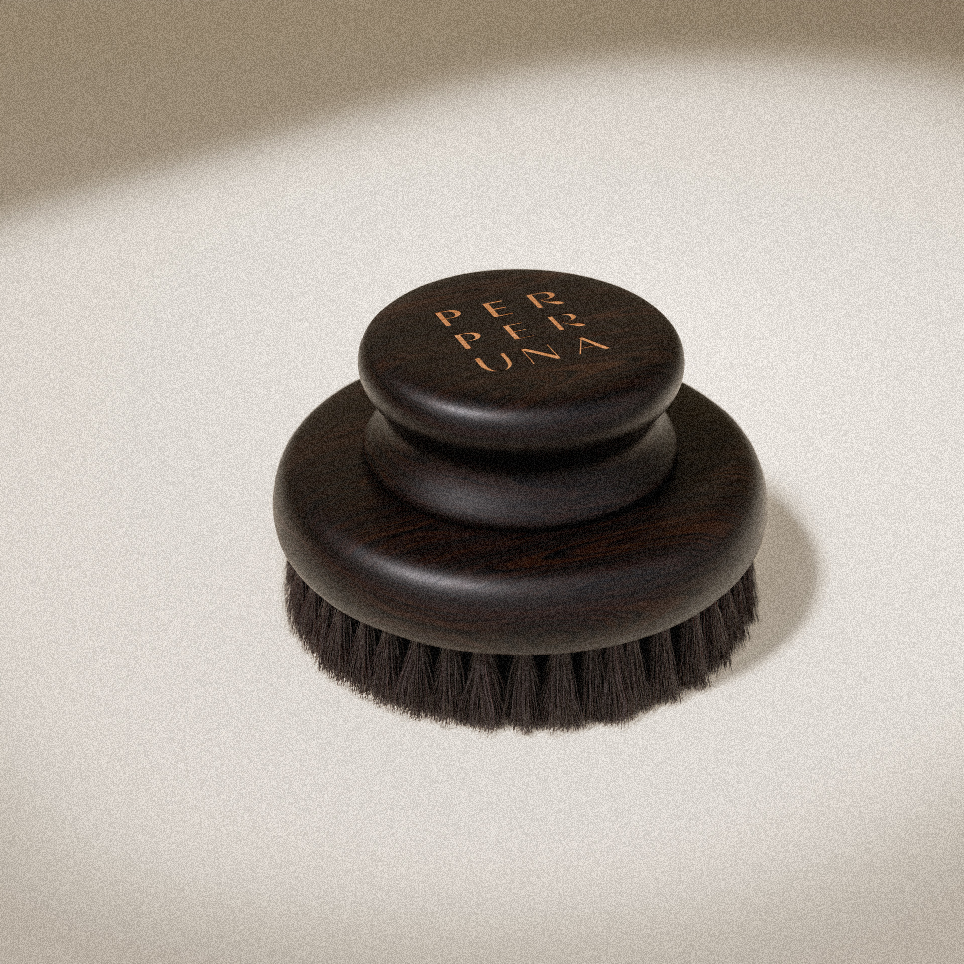 Brosse pour brossage à sec