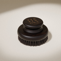 Brosse pour brossage à sec